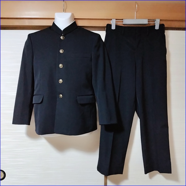 3�� ���츩 �����Ω���������ع� �˻�����