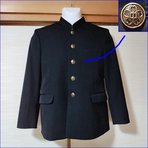 3�� ���츩 �����Ω���������ع� �˻�����
