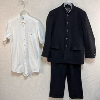 1_000000105781.jpg?1737887483