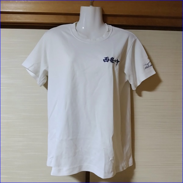 5�� ���縩 �칭���Ω������ع� ����������