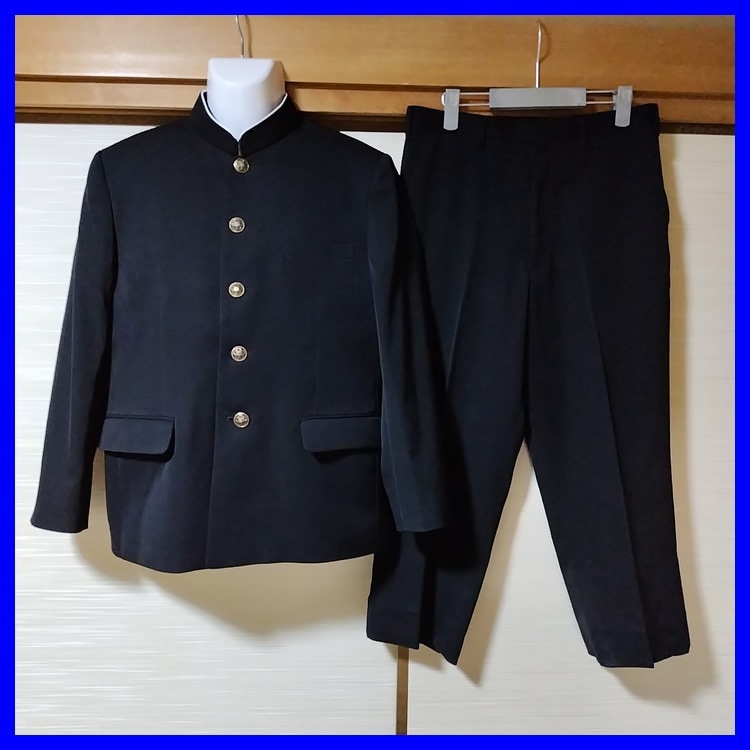 7�� ���츩 �����Ω�ֺ���ع� �˻����� ��