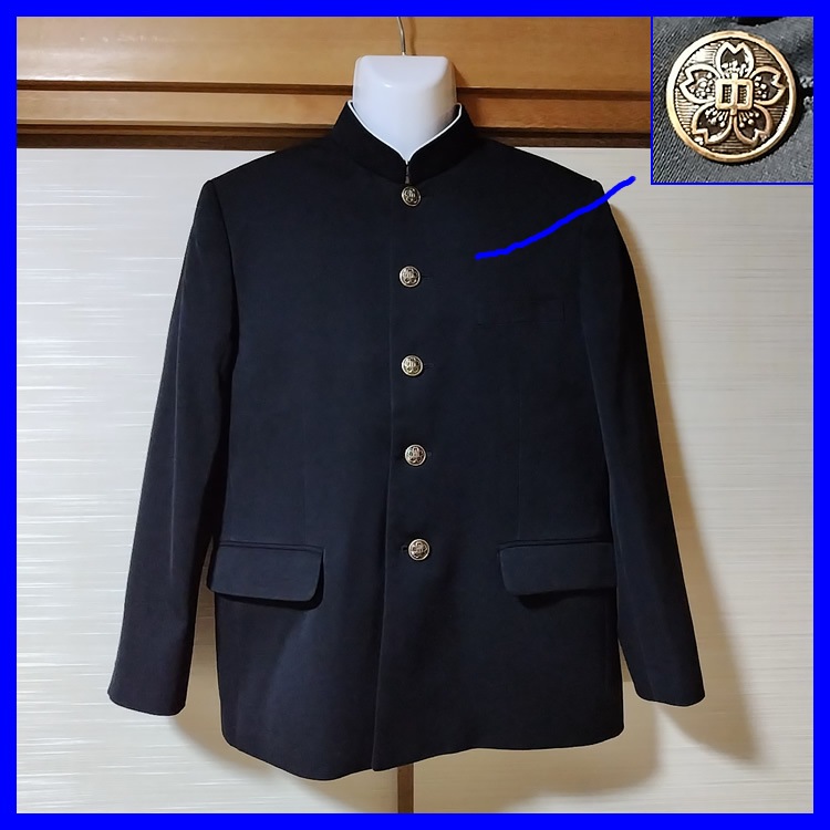 7�� ���츩 �����Ω�ֺ���ع� �˻����� ��