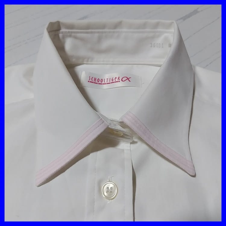 12 ²λ Ƕع Ƕܹ⹻ 