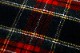 TARTAN CHECK STOLE