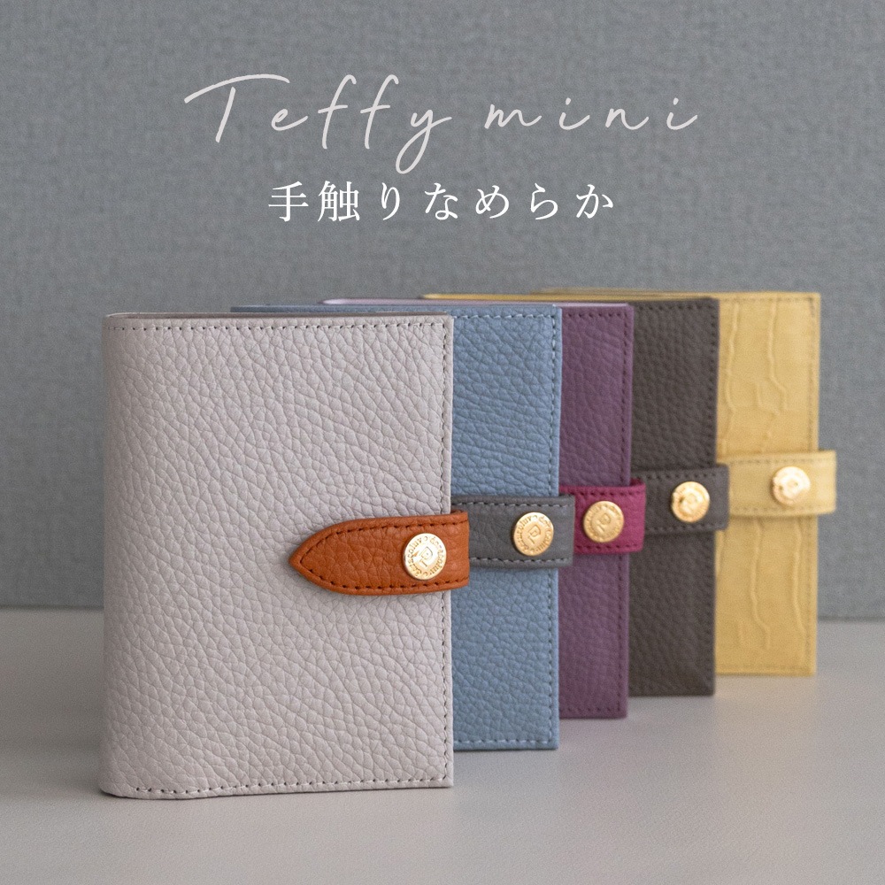 �����ڤ�����ѥ��ȡ�����������ޤ�ߥ˺��� ��Teffy mini �ƥե��ߥˡ�doracoluv(�ɥ饳���) ���� �֥���