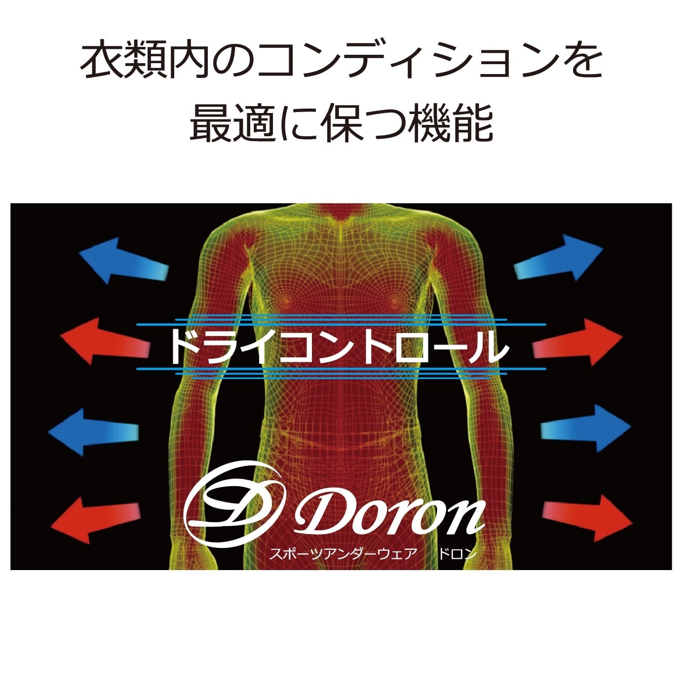 ꥫХ꡼å ­ݤ̵
