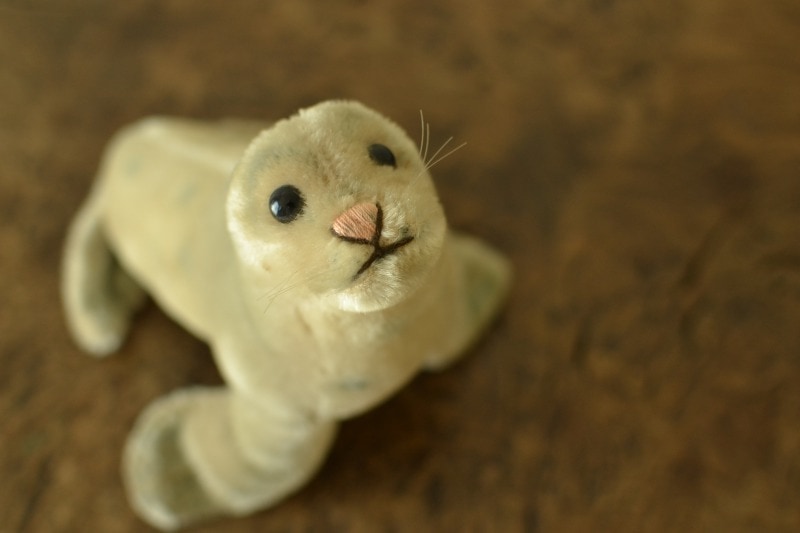 シュタイフ★Robby Seal 10cm★(最小サイズ)アザラシのロビー/海豹 シュタイフ☆Robby Seal 10cm☆(最小サイズ)アザラシのロビー