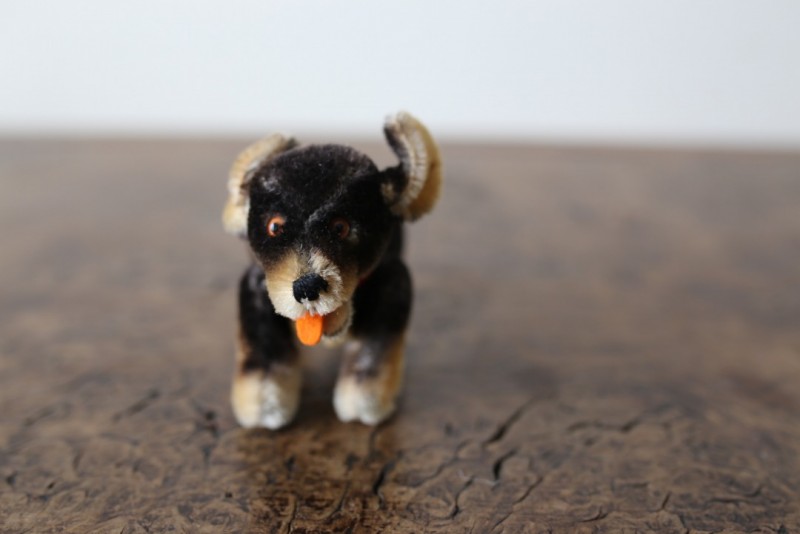 Steiff  Dachshund “Beppo”<p>シュタイフ ダックスフンドの“ベッポ”</p>