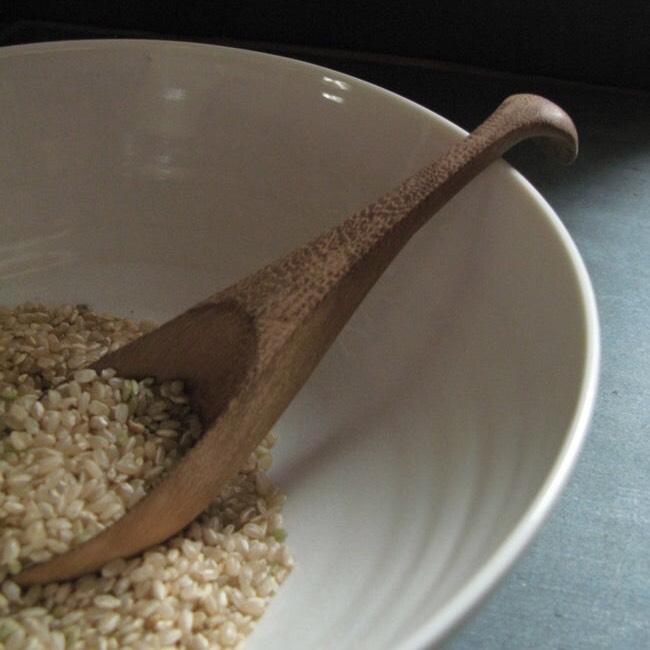 Wooden Spoon / Small Pelican<p>木彫りのスプーン / スモールペリカン</p>