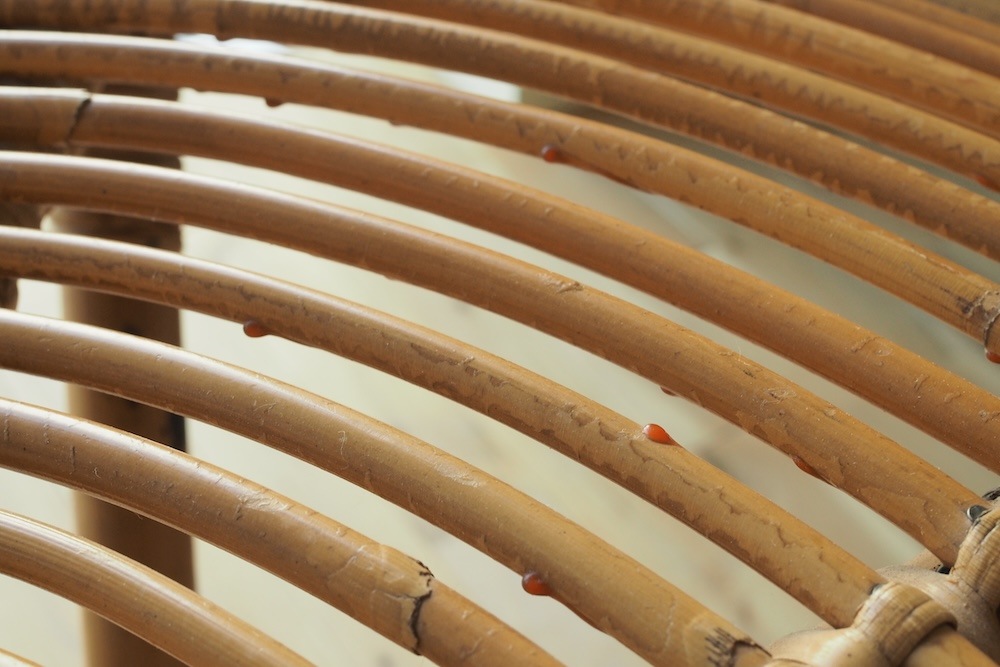 Rattan low table A<p>ラタンローテーブル A</p>