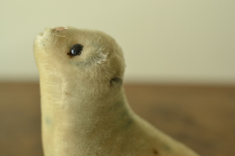 シュタイフ★Robby Seal 10cm★(最小サイズ)アザラシのロビー/海豹 シュタイフ☆Robby Seal 10cm☆(最小サイズ)アザラシのロビー