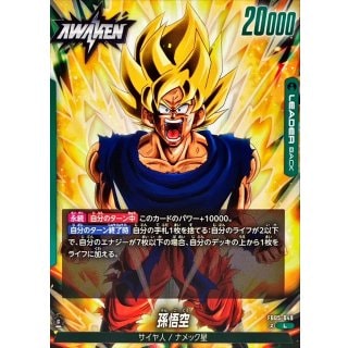 FB-05】未知なる冒険 | ドラゴンボールスーパーカードゲーム