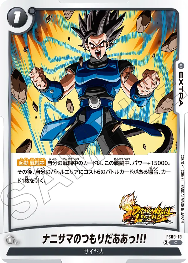 ナニサマのつもりだああっ!!!「C」(黒) [FS09-18]