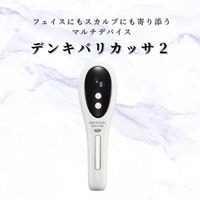 �ǥ󥭥Хꥫ�å�2