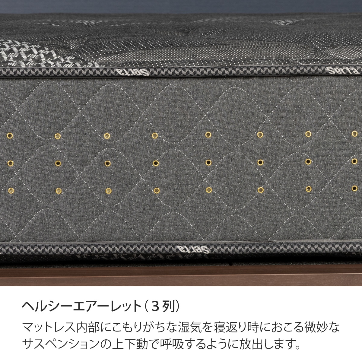 サータサポートスイート6.8