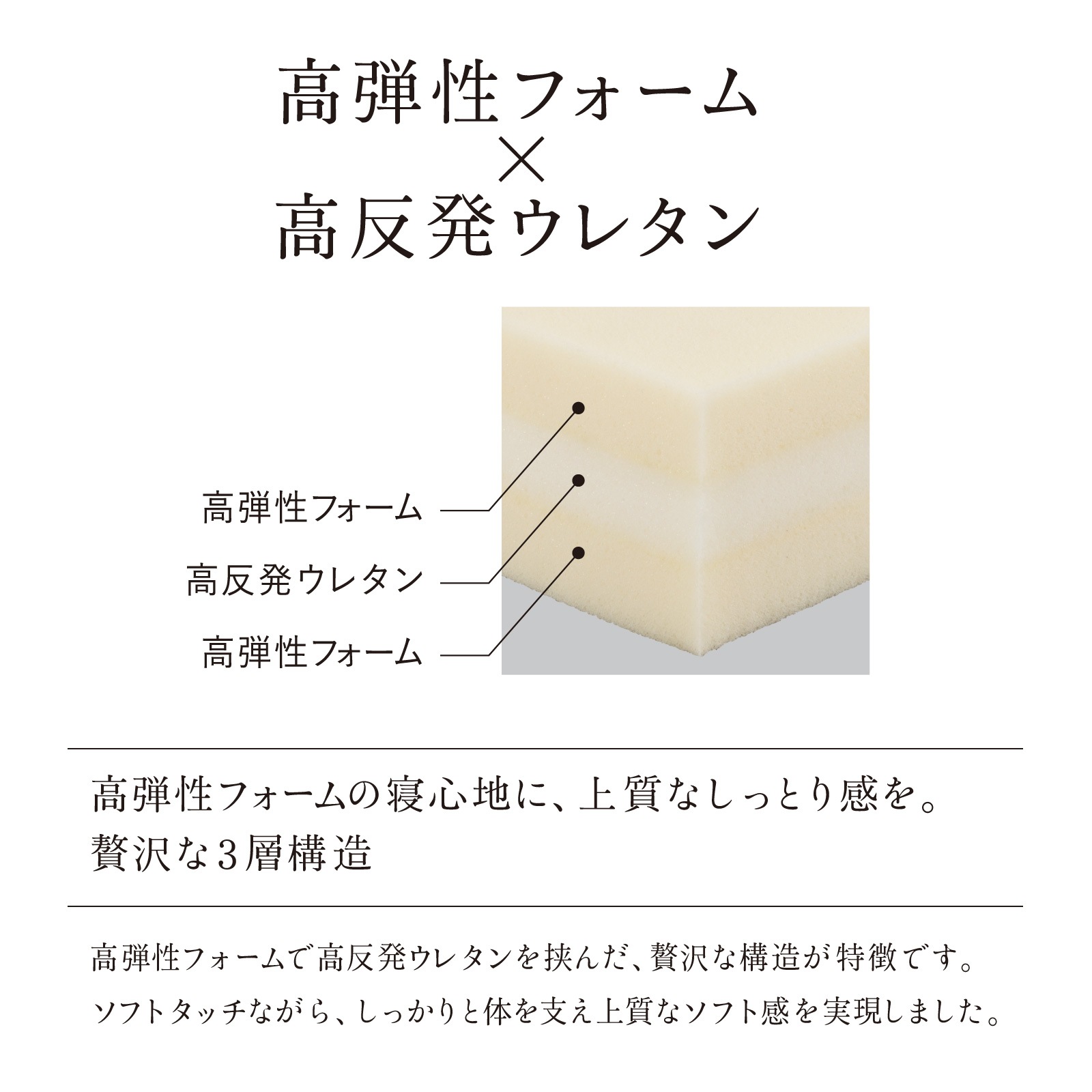 サータグランドノア