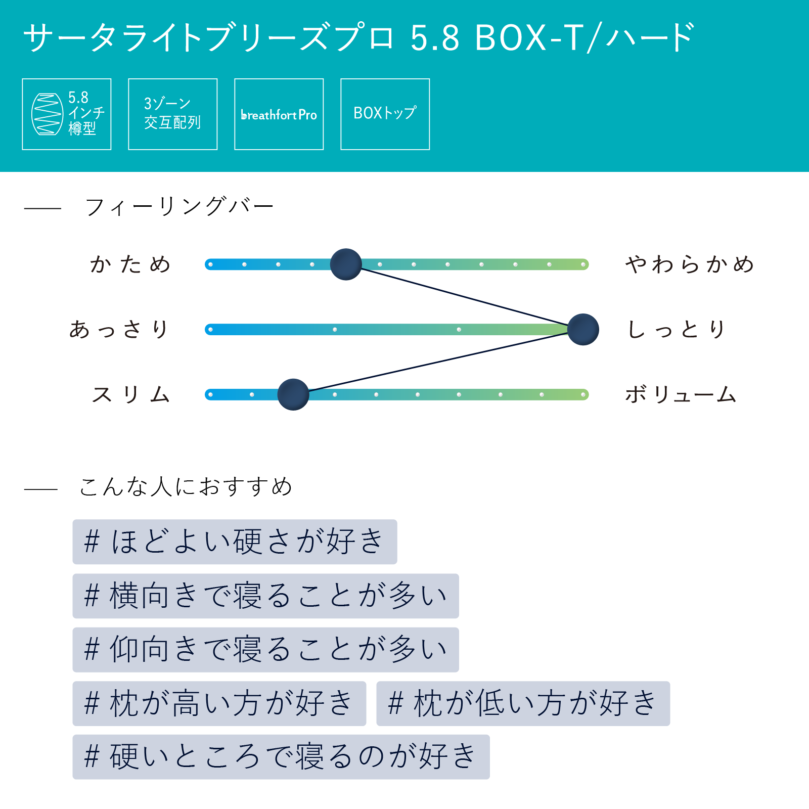 サータライトブリーズプロ 5.8 BOX-T / ハード
