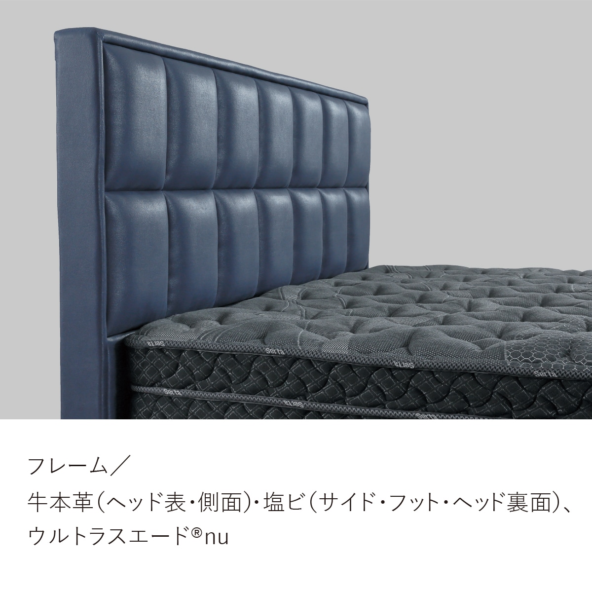 NEW YORK 556（ニューヨーク 556）