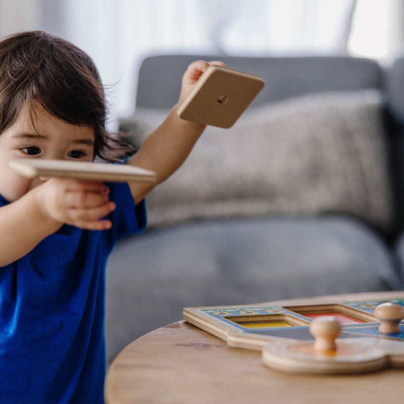 Jumbo Knob Puzzle First Shapes