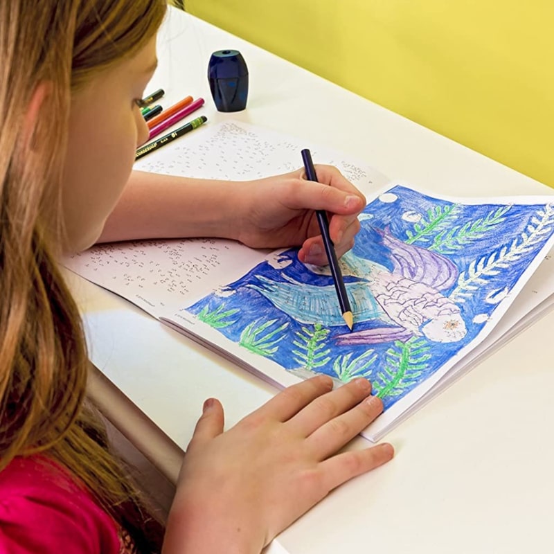 Extreme Dot to Dot - Pets