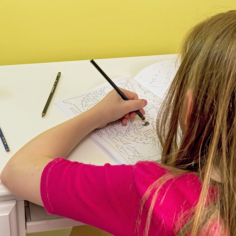 Extreme Dot to Dot - Pets