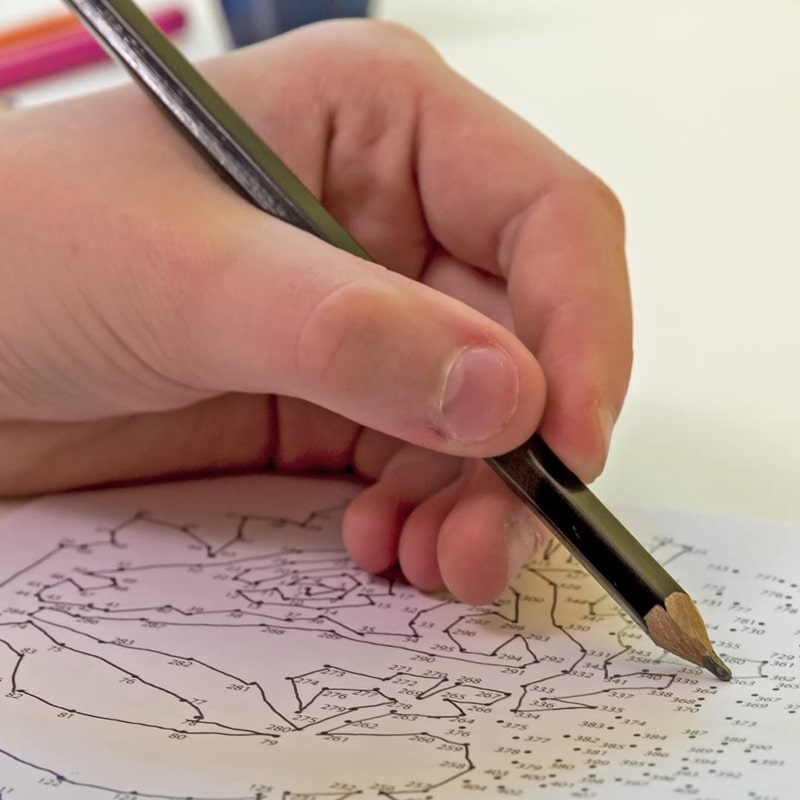 Extreme Dot to Dot - Pets