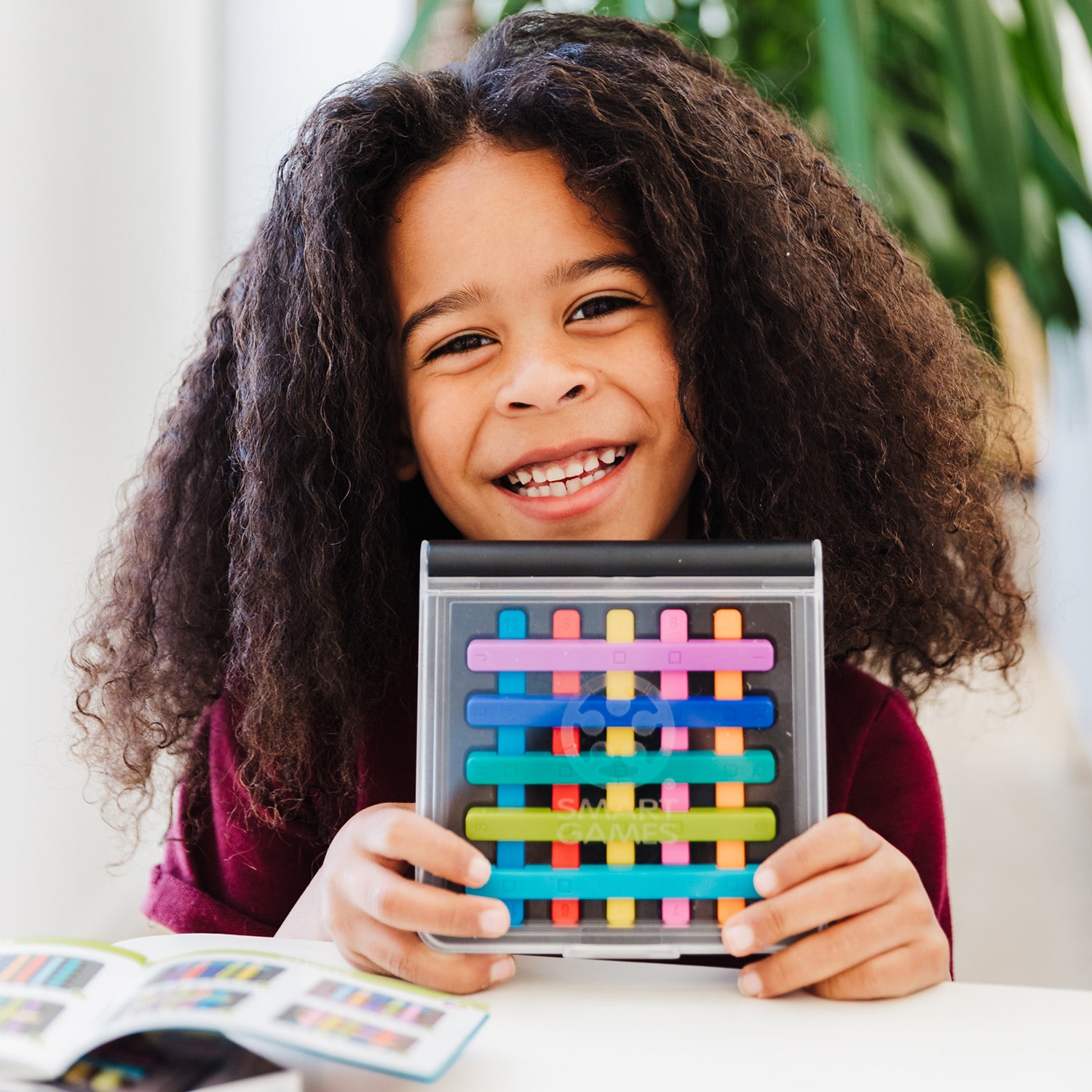 IQスティックス