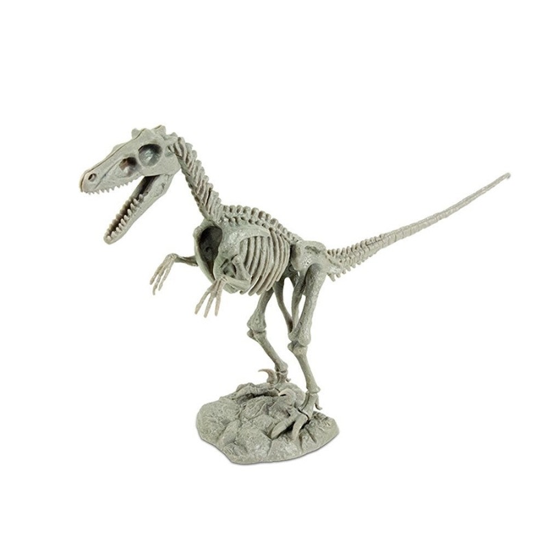 絶版　ヴェロキラプトル　骨格　モデル　グリフォンエンタープライズ Hobby Search Blog - Precision regreation of details