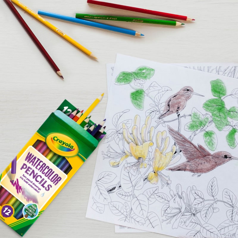 水彩いろえんぴつ 12色