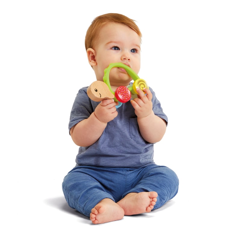 木製 手押しカメさん