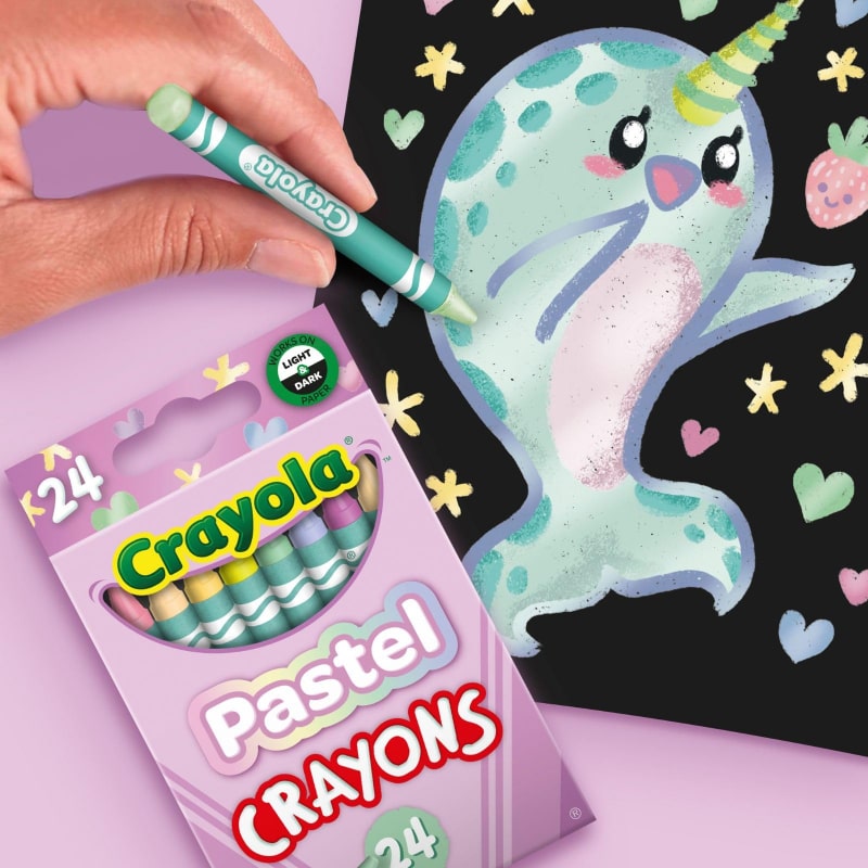 Pastel Crayons 24
