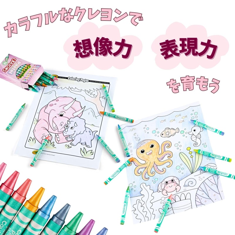 Pastel Crayons 24