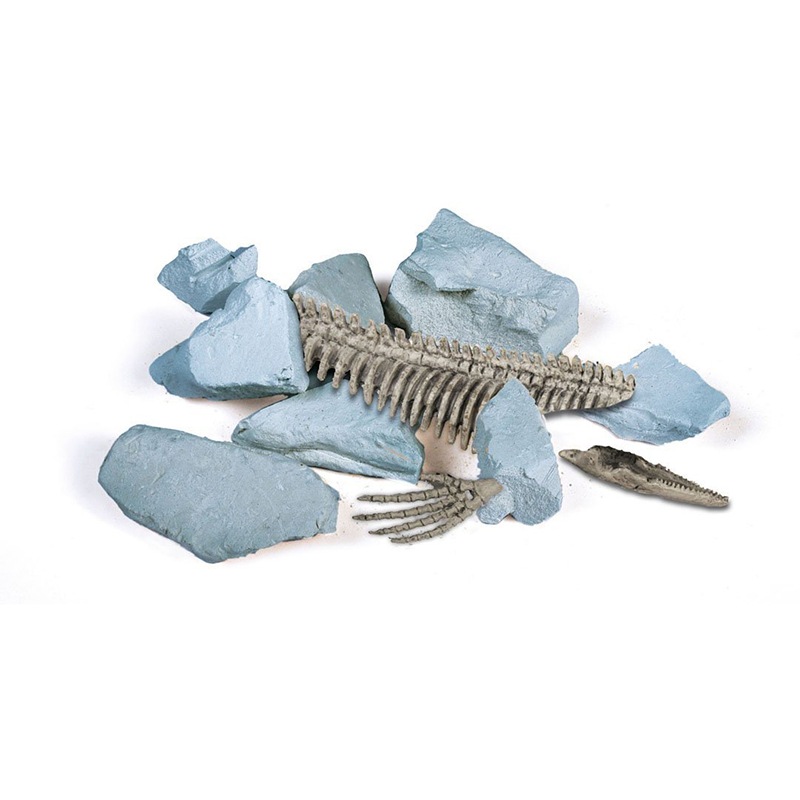 海のモンスター発掘キット エラスモサウルス