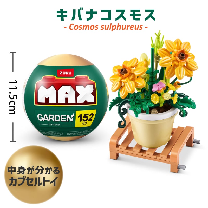 植物セット エアプランツとシンゴニウムの寄せ植えコンクリートポット【ミックス