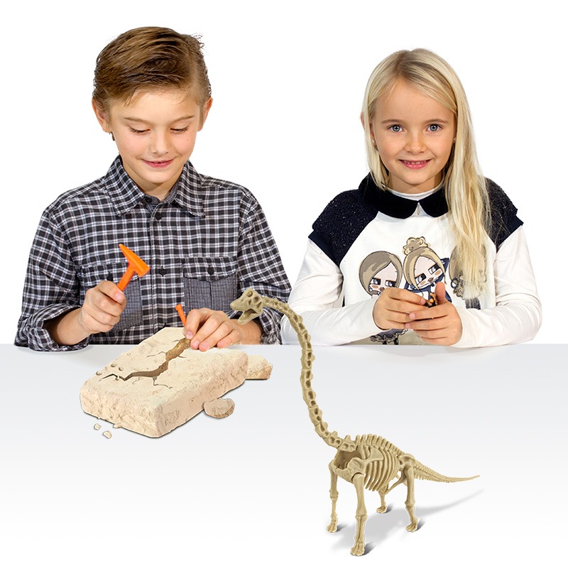 恐竜発掘キット ブラキオサウルス