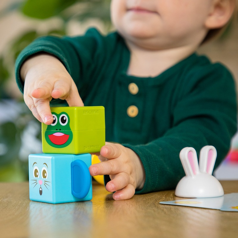 はじめてのスマートマックス アニマルトーテム