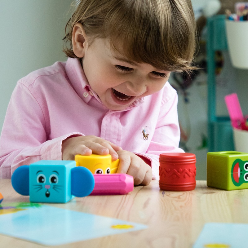 はじめてのスマートマックス アニマルトーテム