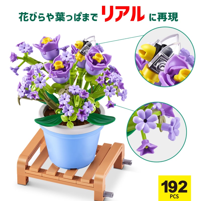 【かすみ草】 カスミソウ | 花のタネ | 株式会社トーホク