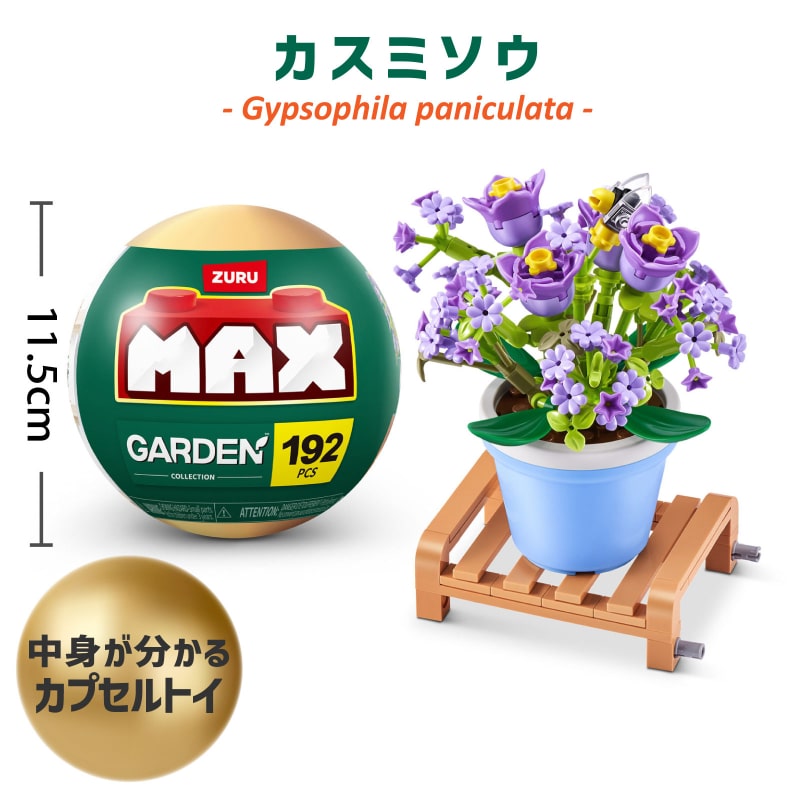 【かすみ草】 自分で植える】カーペットかすみ草のリース花苗セット（東京発送