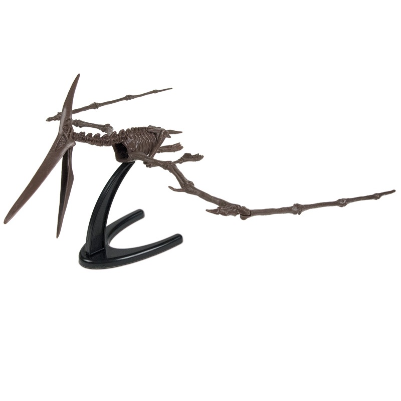 翼竜発掘キット プテラノドン