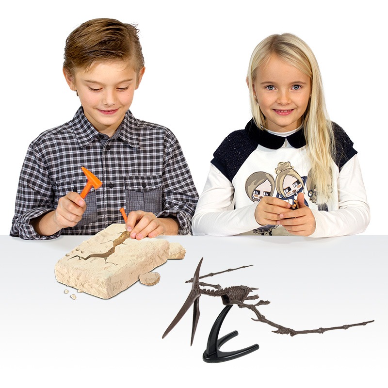 翼竜発掘キット プテラノドン