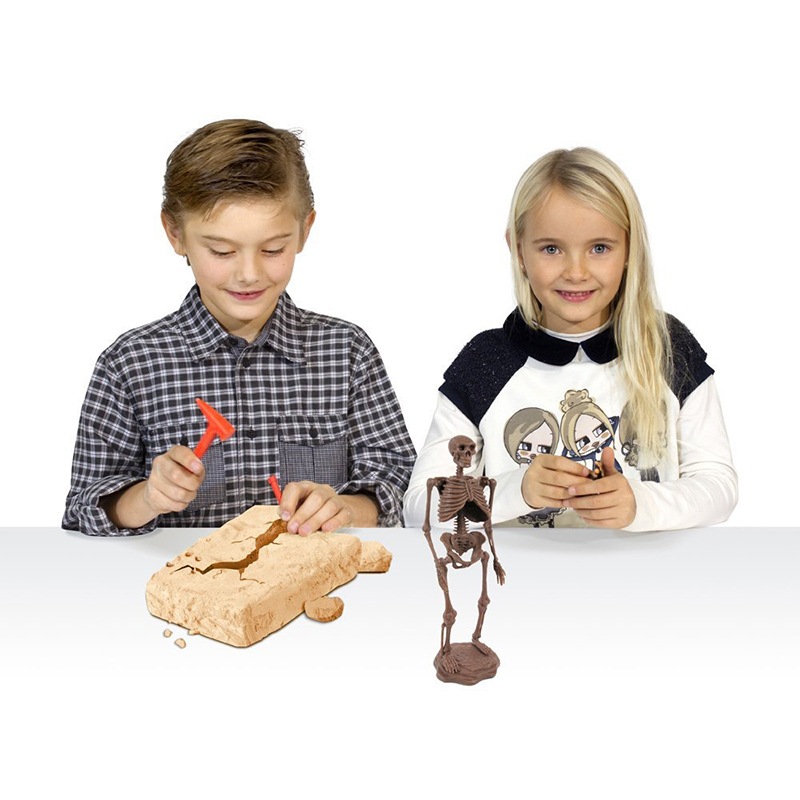 原始人発掘キット ネアンデルタール人