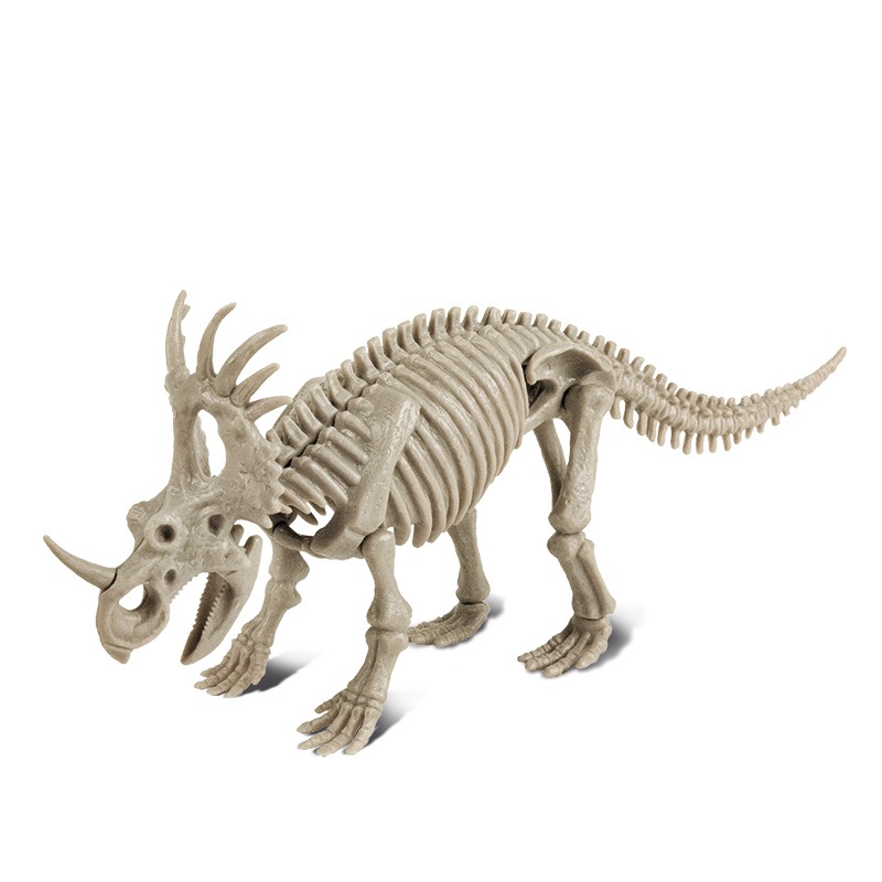 木彫　恐竜1/10　 プシッタコサウルス全身骨格模型　ツゲ製　２２㎝ 木彫 恐竜1/10 プシッタコサウルス全身骨格模型 ツゲ製 22
