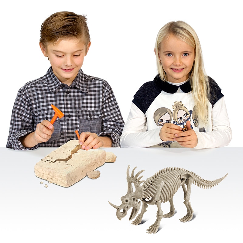恐竜発掘キット スティラコサウルス