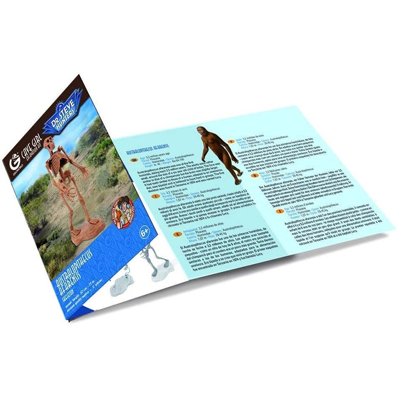 原始人発掘キット アウストラロピテクス・アファレンシス