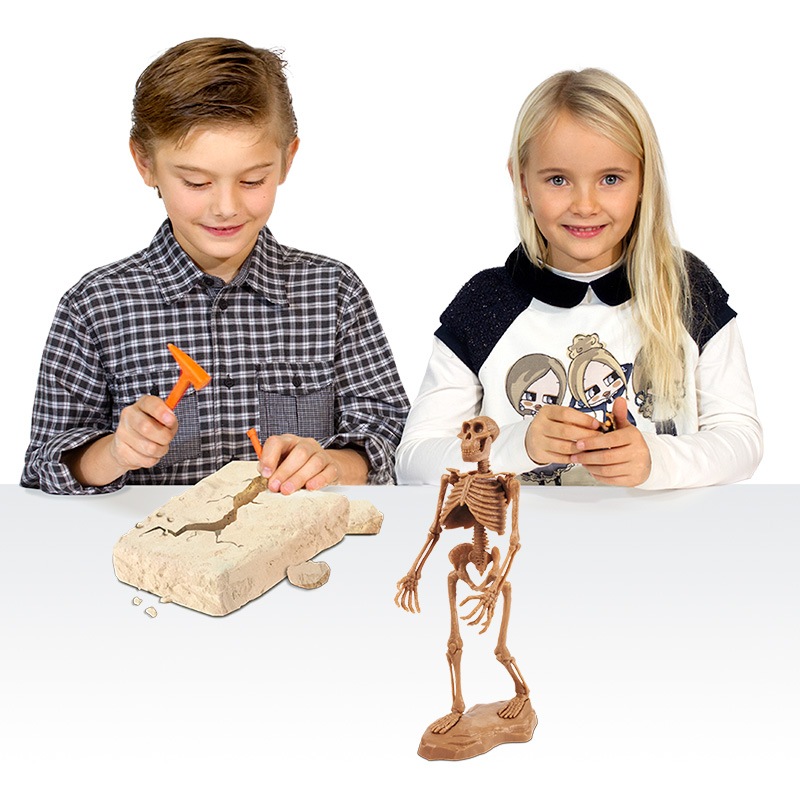 原始人発掘キット アウストラロピテクス・アファレンシス