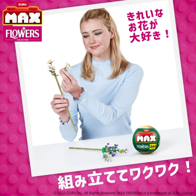 マックスプレミアム ガーデン ロングフラワー : ヒナギク＋ラベンダー