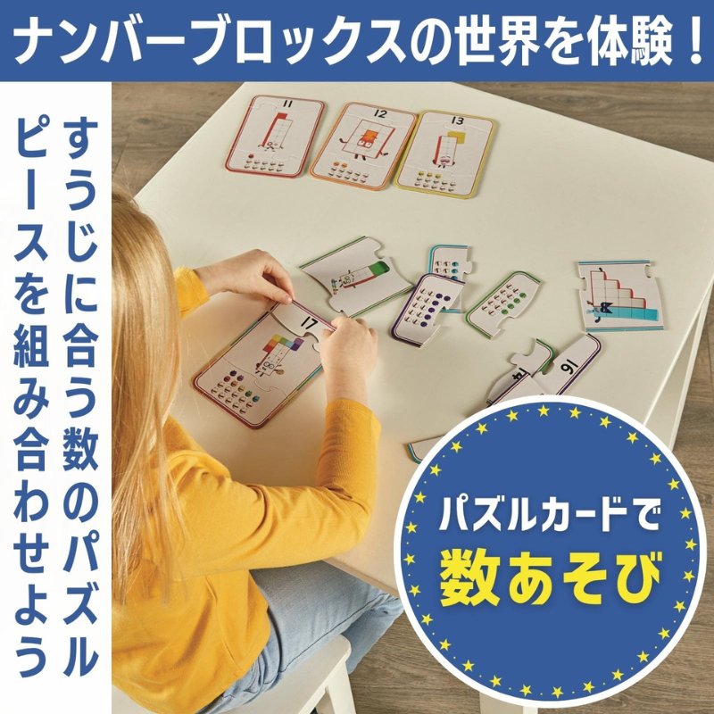 ナンバーブロックスカウンティングパズルセット