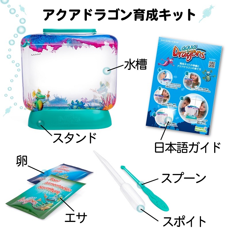 アクアドラゴン育成キット