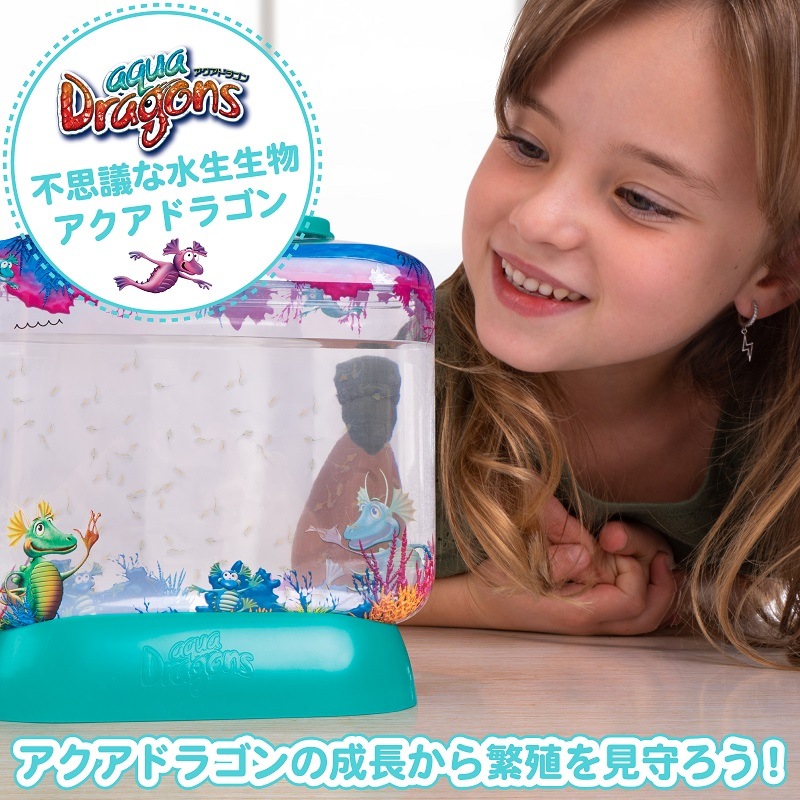 アクアドラゴン育成キット